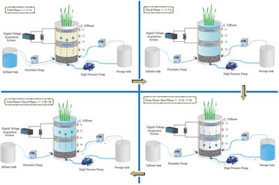 Response Characteristics of Nitrifying Bacteria and Archaea Community Involved in Nitrogen Removal and Bioelectricity Generation in Integrated Tidal Flow Constructed Wetland-Microbial Fuel Cell